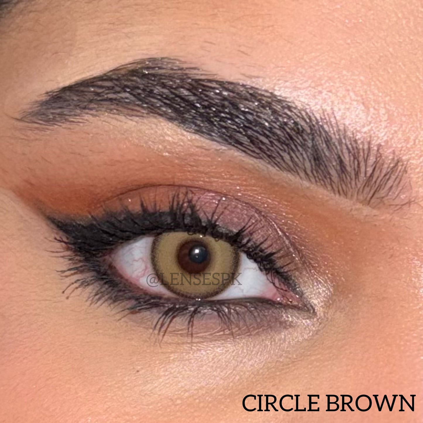 CIRCLE BROWN